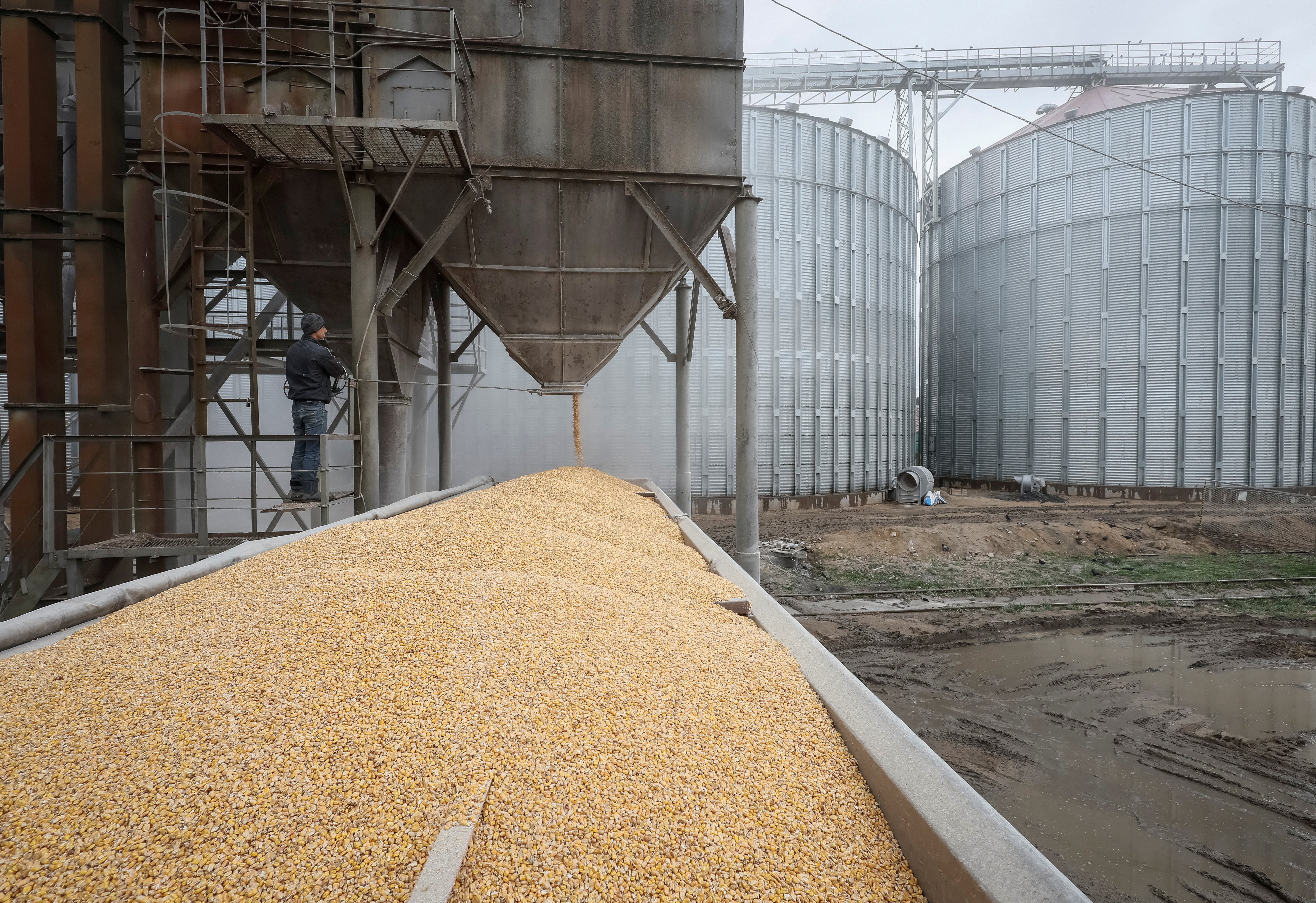 FILE PHOTO: A load of corn is poured into a truck, at a grain storage facility in the village of Bilohiria