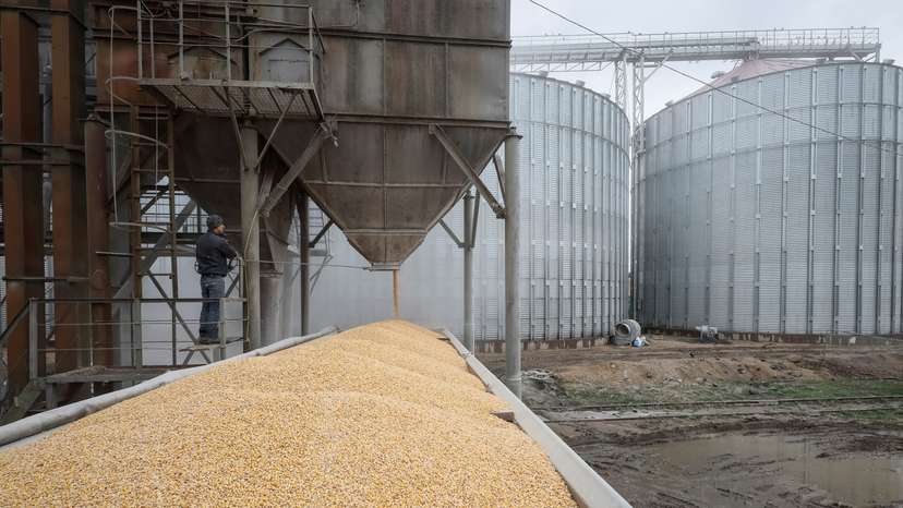 FILE PHOTO: A load of corn is poured into a truck, at a grain storage facility in the village of Bilohiria