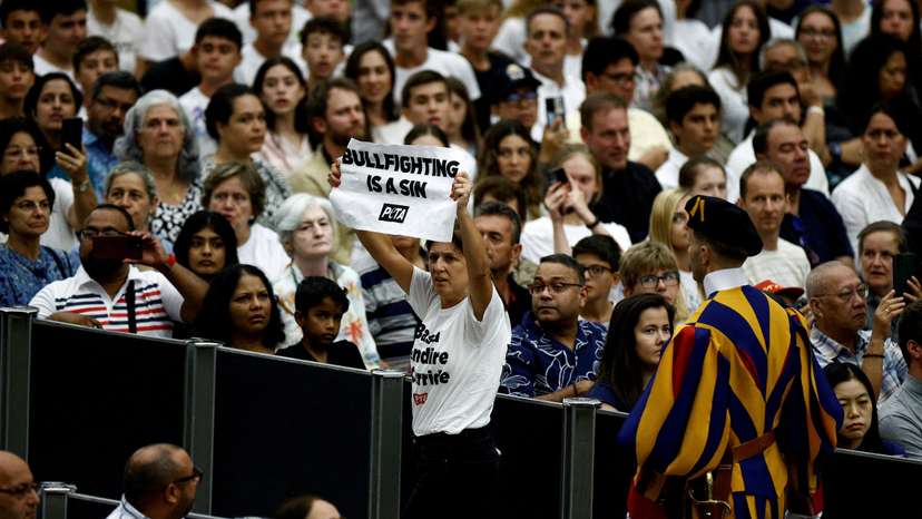 FILE PHOTO: PETA activists stage a protest during the weekly general audience