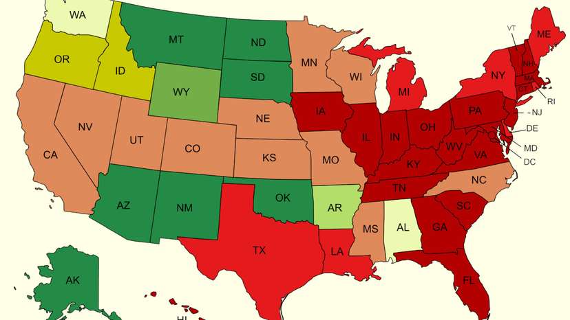 WhatsApp Image 2026-02-14 at 17.20.59