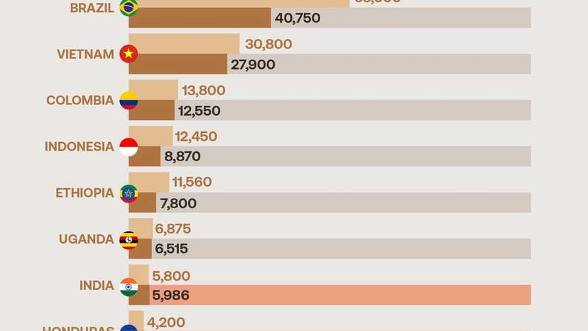 World’s largest coffee producer