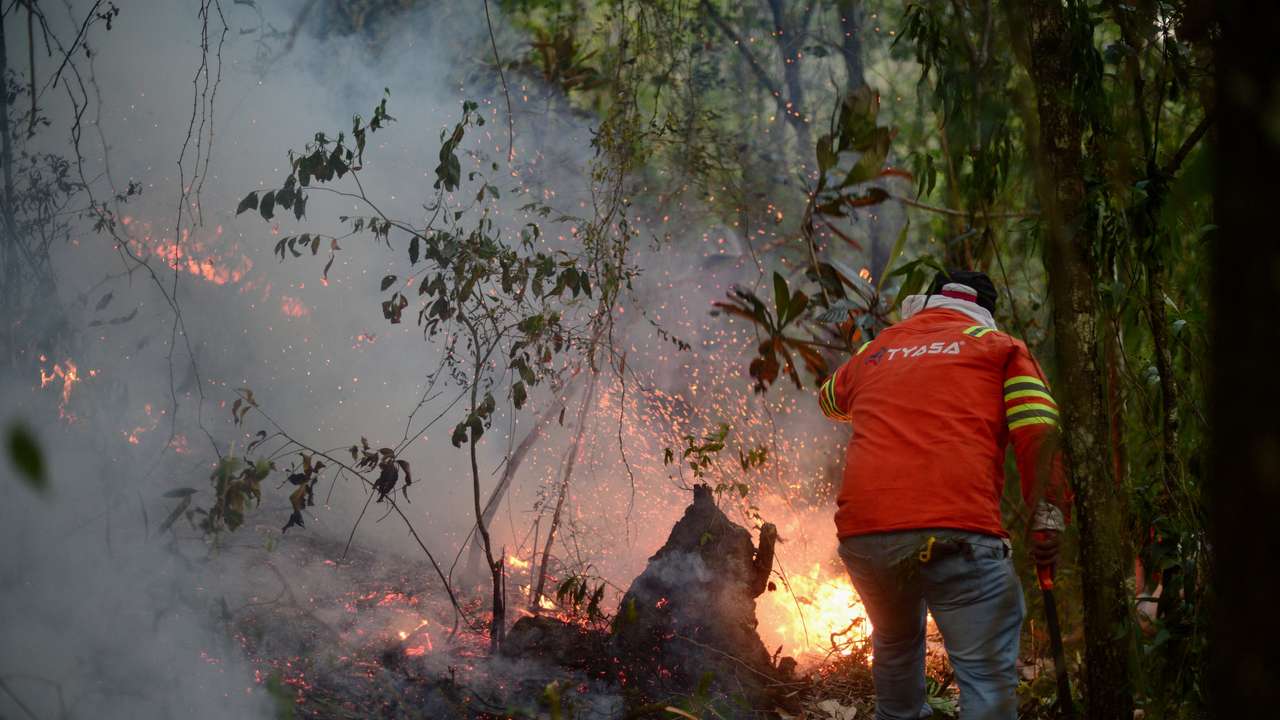 Wildfires in Veracruz, Mexico