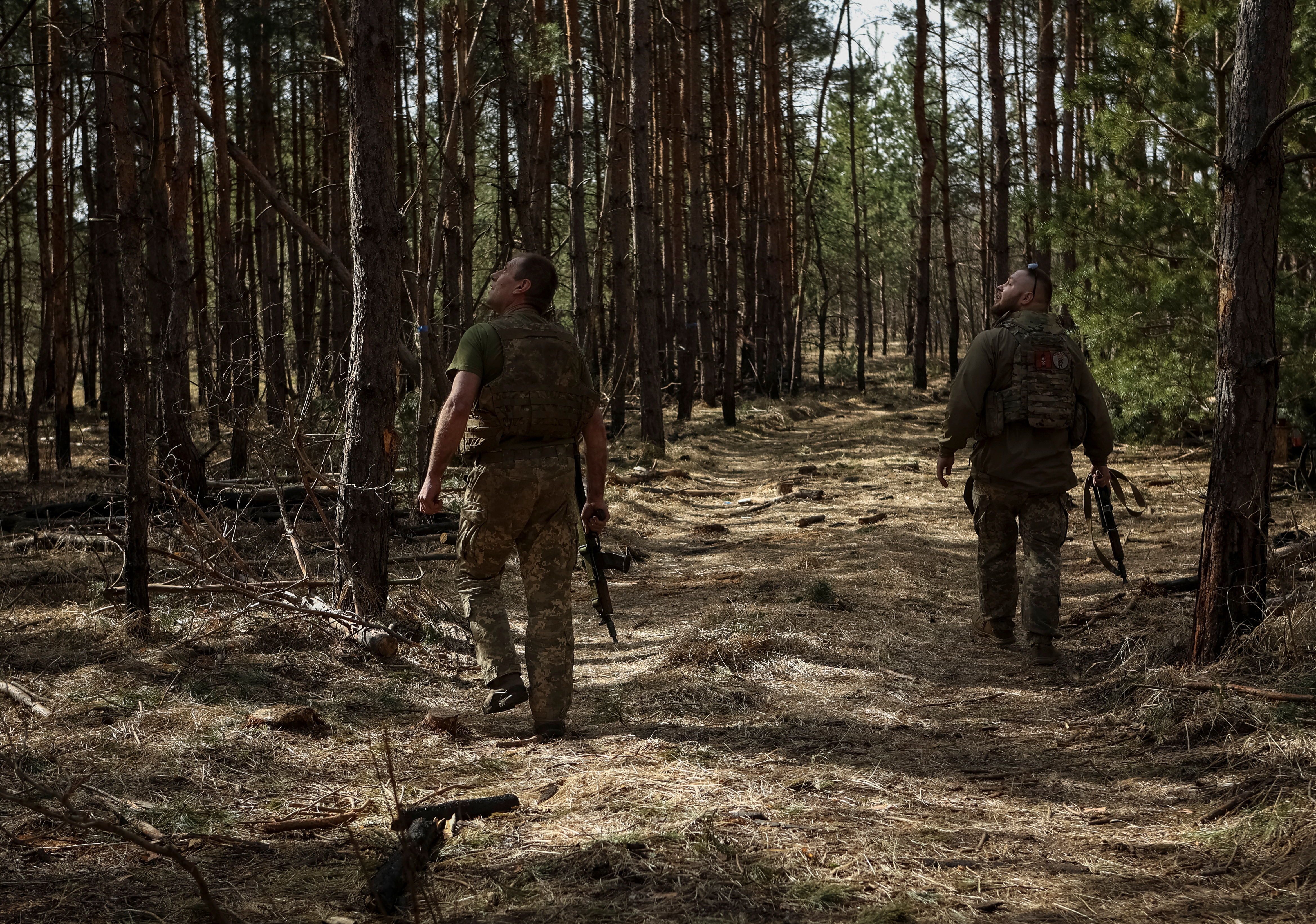 Ukrainian servicemen look into the sky for Russian drones at a position near a frontline in Donetsk region
