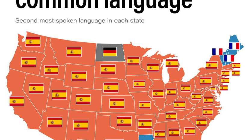 WhatsApp Image 2025-07-02 at 16.14.06