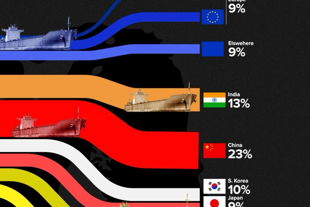Where does the oil go?