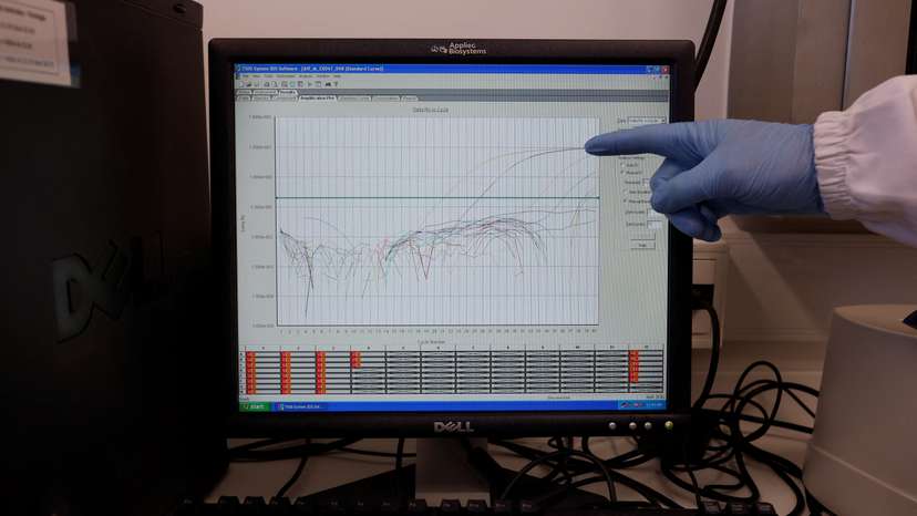 Brazil boosts bird flu defense to protect world's top chicken industry, in Campinas