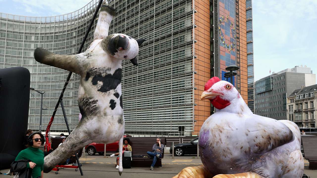 Animal rights activists protest in Brussels