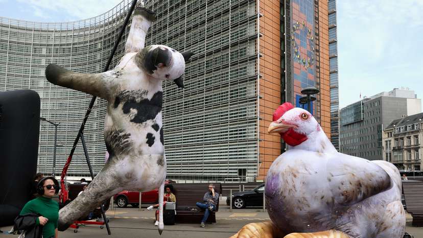 Animal rights activists protest in Brussels