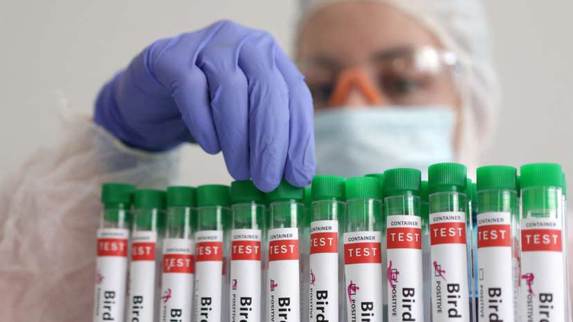Illustration shows person touching test tube labelled "Bird Flu\
