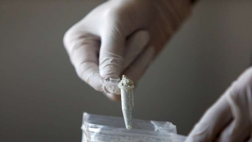 FILE PHOTO: Fentanyl precursors are displayed at Reuters' office in Mexico City
