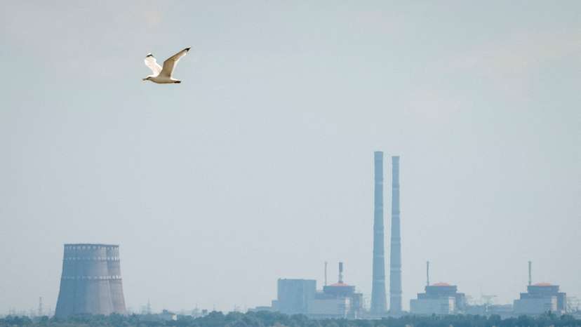 FILE PHOTO: View shows Zaporizhzhia Nuclear Power Plant from the bank of Kakhovka Reservoir in Nikopol