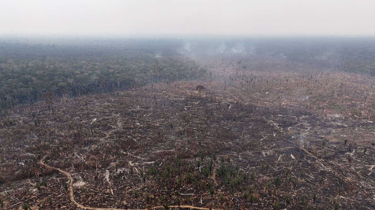 FILE PHOTO: Drought affecting the Amazon