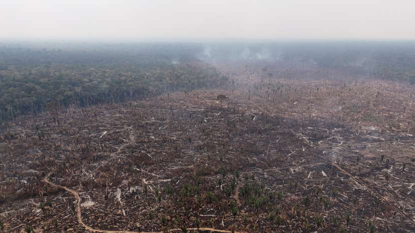 FILE PHOTO: Drought affecting the Amazon