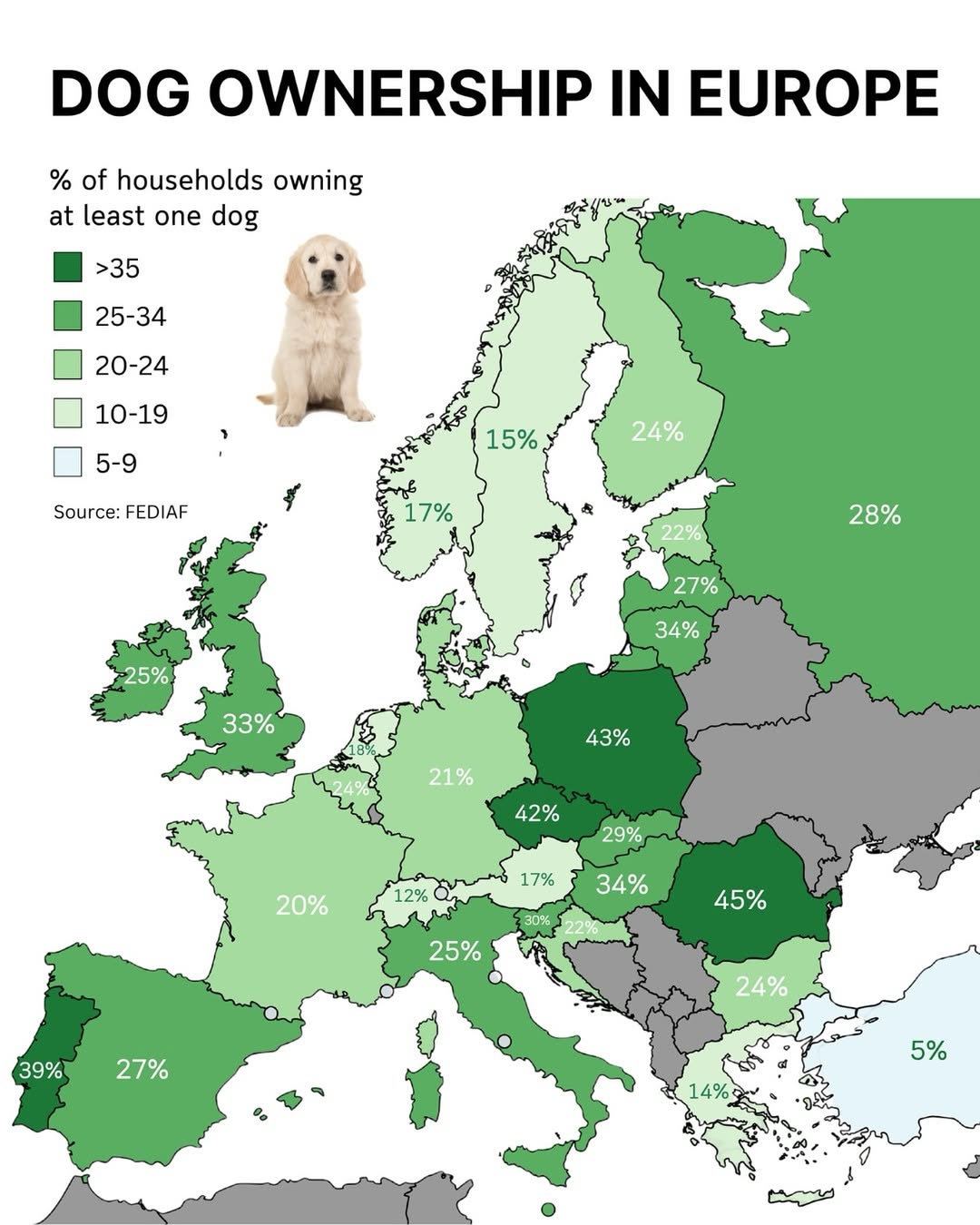 Today, it’s International Dog Day and we’re celebrating our loyal four-legged friends, and here’