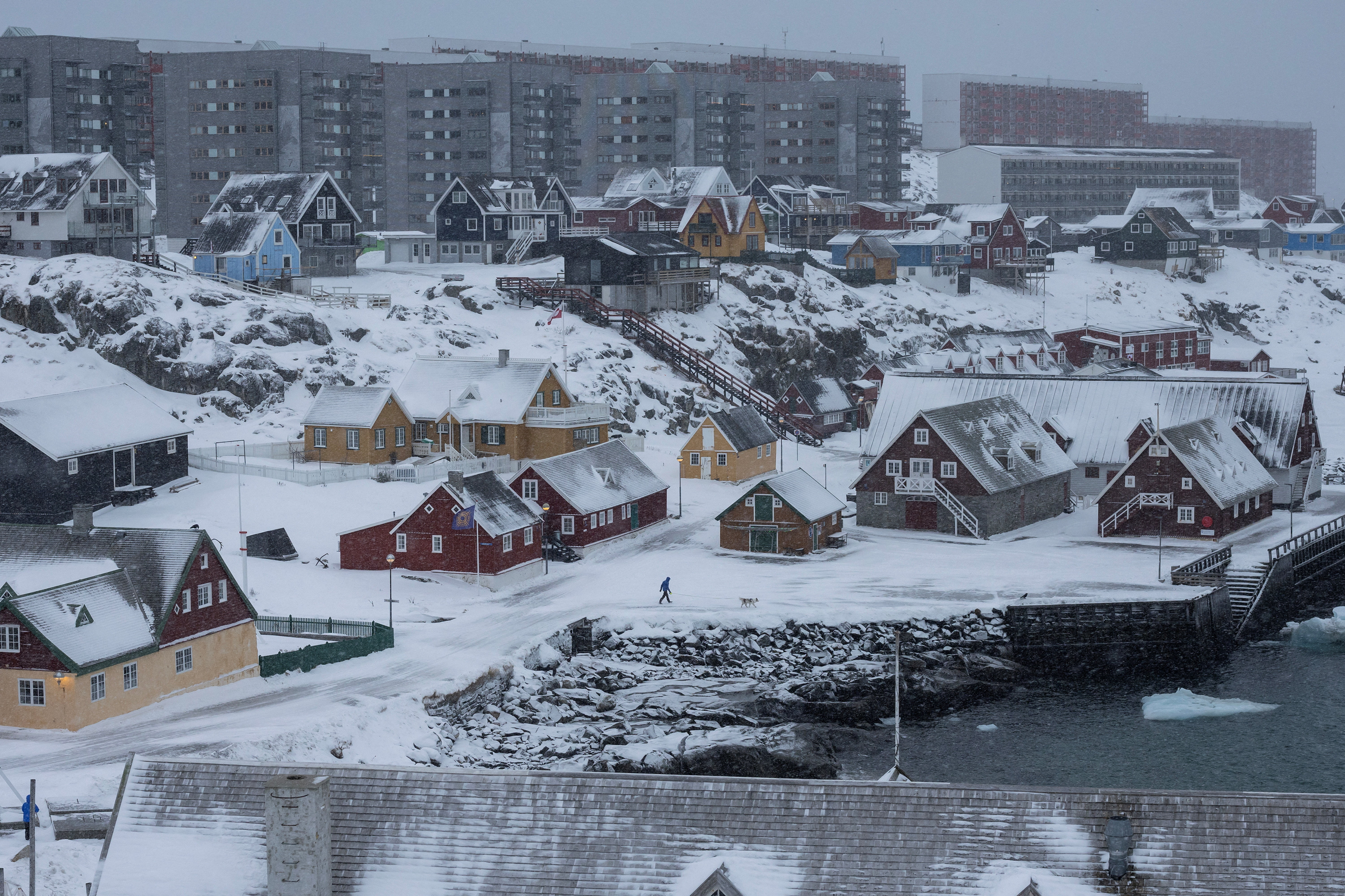 A man walks a dog at Nuuk's old harbour