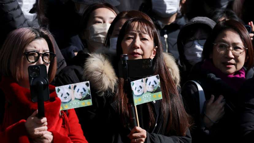 Japan's last two pandas Xiao Xiao and Lei Lei return to China ahead of the end of loan agreement in Tokyo