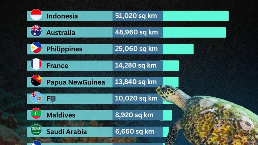 Indonesia and Australia lead the world in coral reef coverage