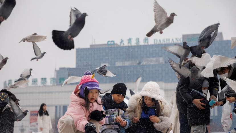 FILE PHOTO: Children feed pigeons in Harbin