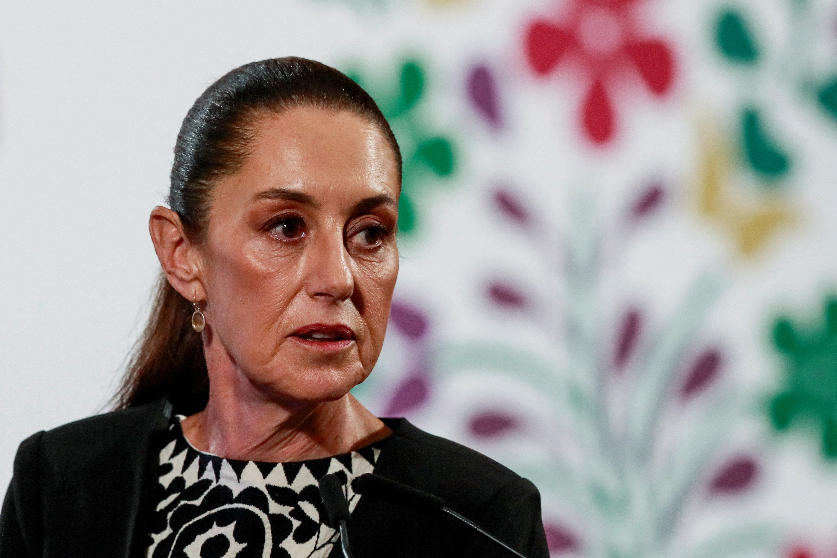 Mexico's President Claudia Sheinbaum holds a press conference at the National Palace, in Mexico City