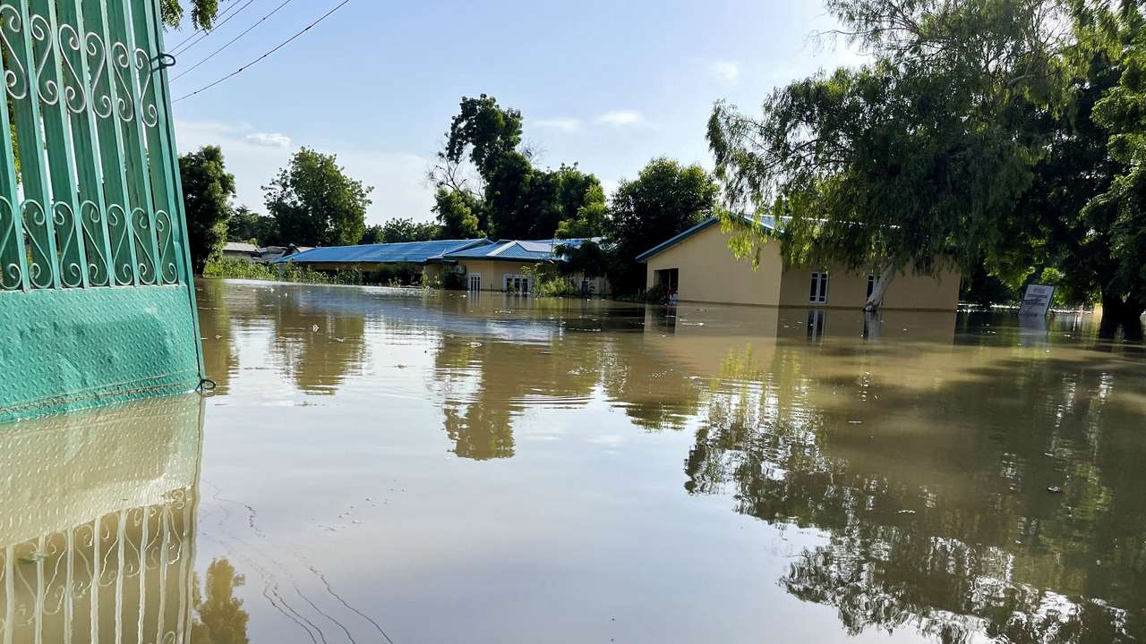 Floods decimate Nigerian zoo, wash crocodiles into community, in Maiduguri