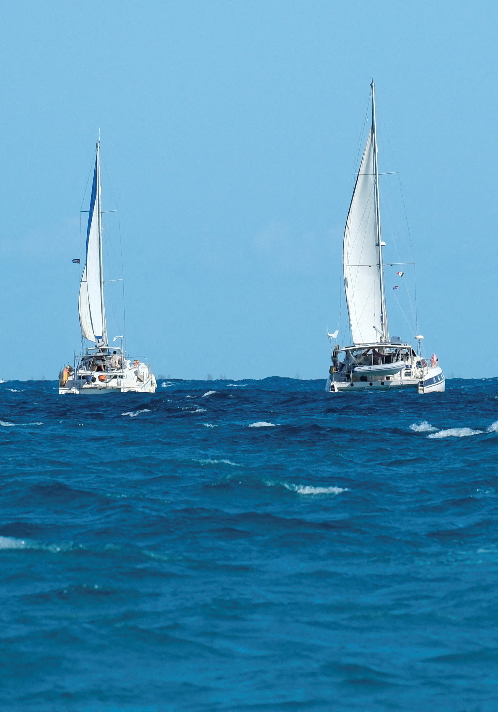 Argentine Activists Join 70-Vessel Gaza Aid F(1)