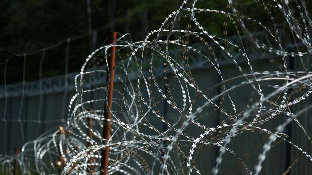 Razor wire is seen near the fence on Belarusian-Polish border in the forest near Topilo village