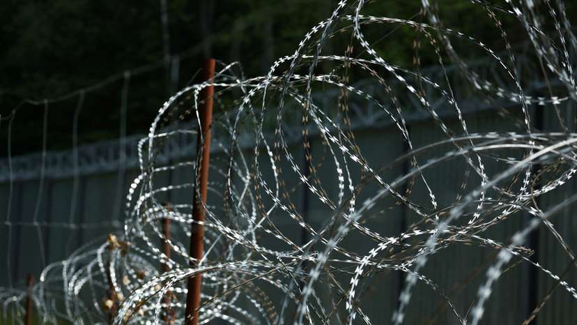 Razor wire is seen near the fence on Belarusian-Polish border in the forest near Topilo village