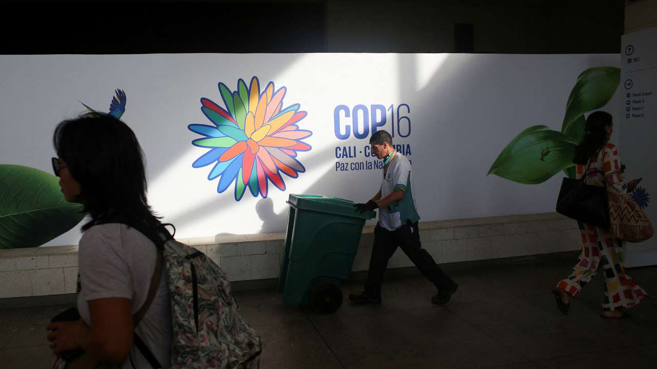 16th United Nations Biodiversity Summit in Cali