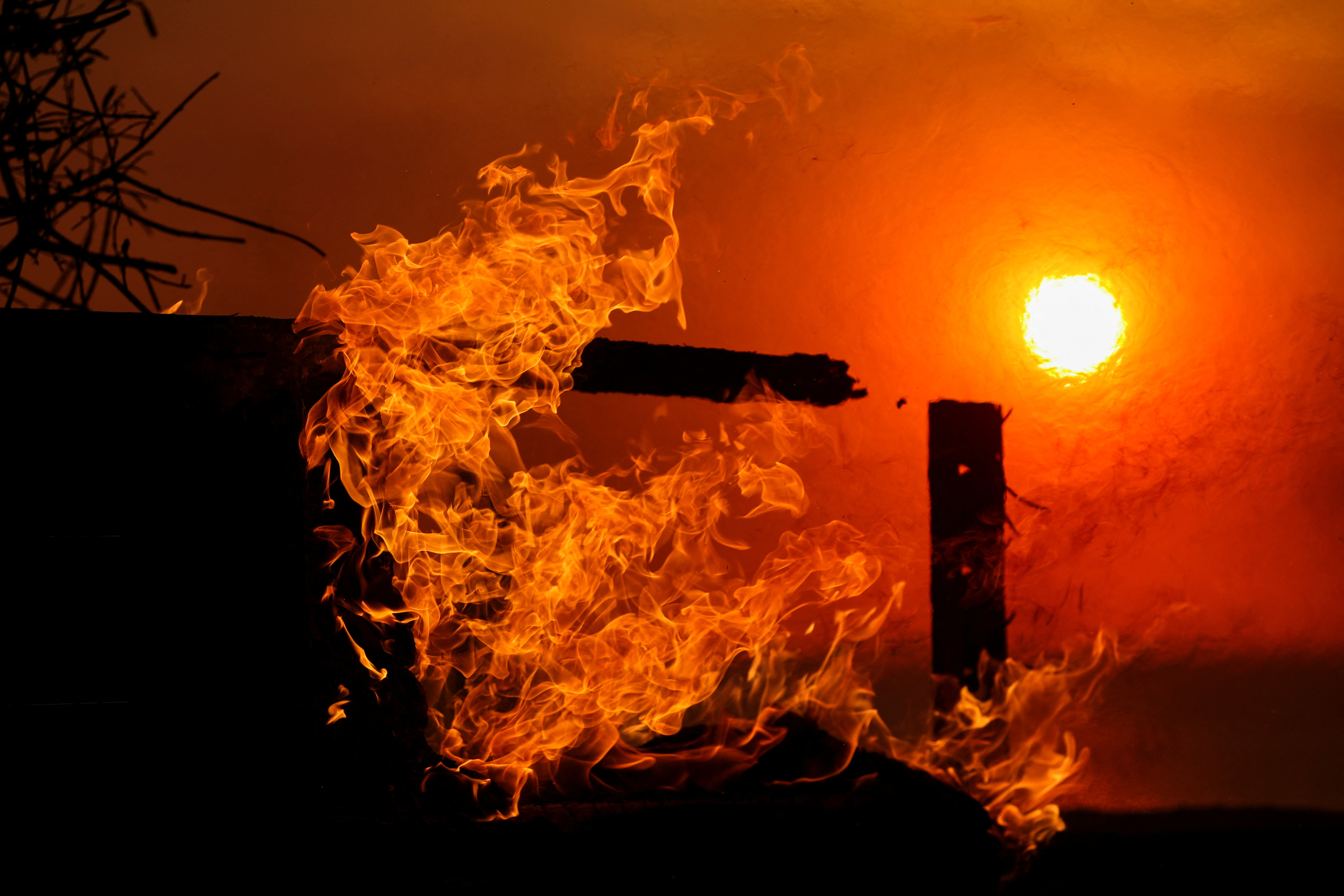 Wildfires in Los Angeles