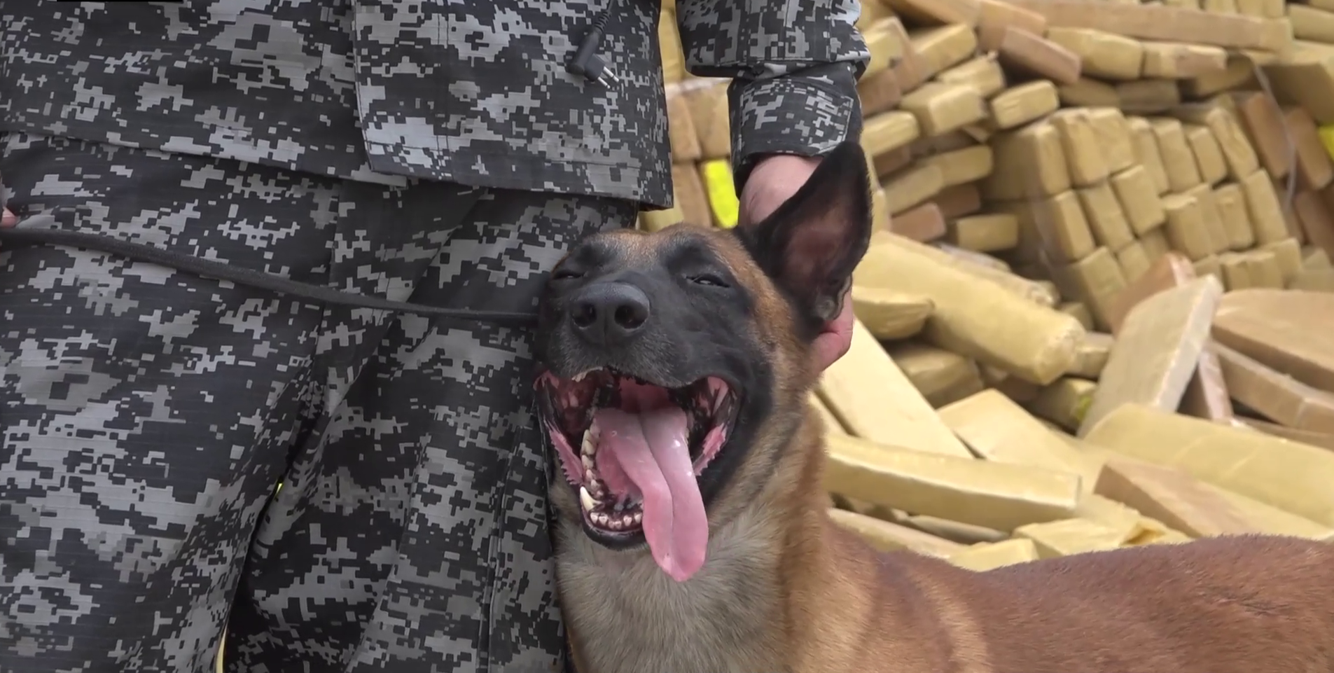 Police seize record 48 tonnes of Marijuana in Braz