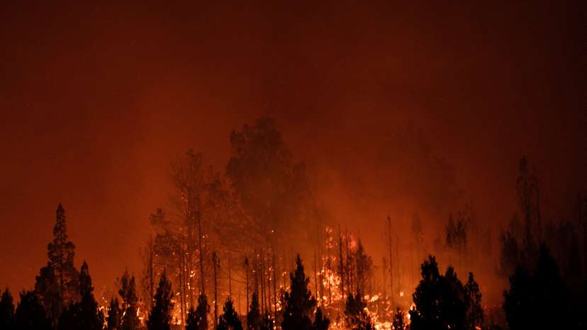 FILE PHOTO: Argentina declares fire emergency as wind threatens Patagonia containment efforts