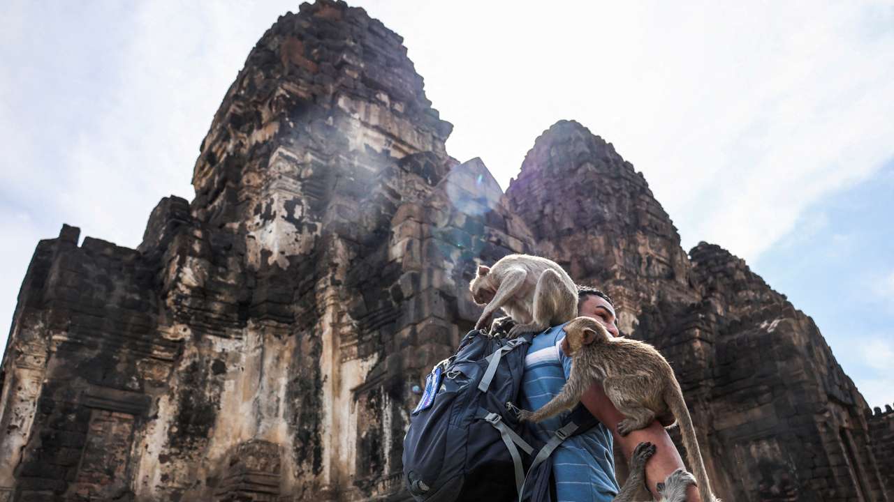 Annual Monkey Festival in Thailand's Lopburi province