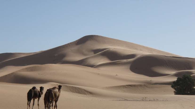 A view of the Lala Lallia star dune of the Sahara Desert