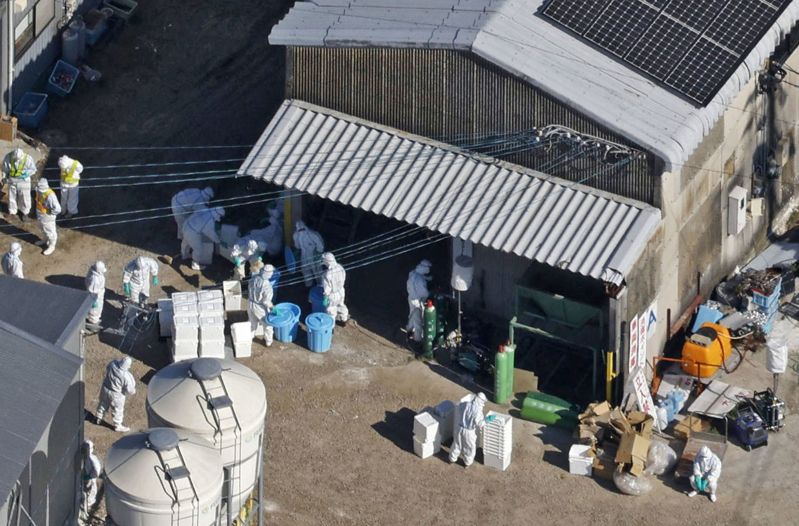 An aerial view shows officials wearing protective suits cull chickens at a poultry farm in Kashima, Japan
