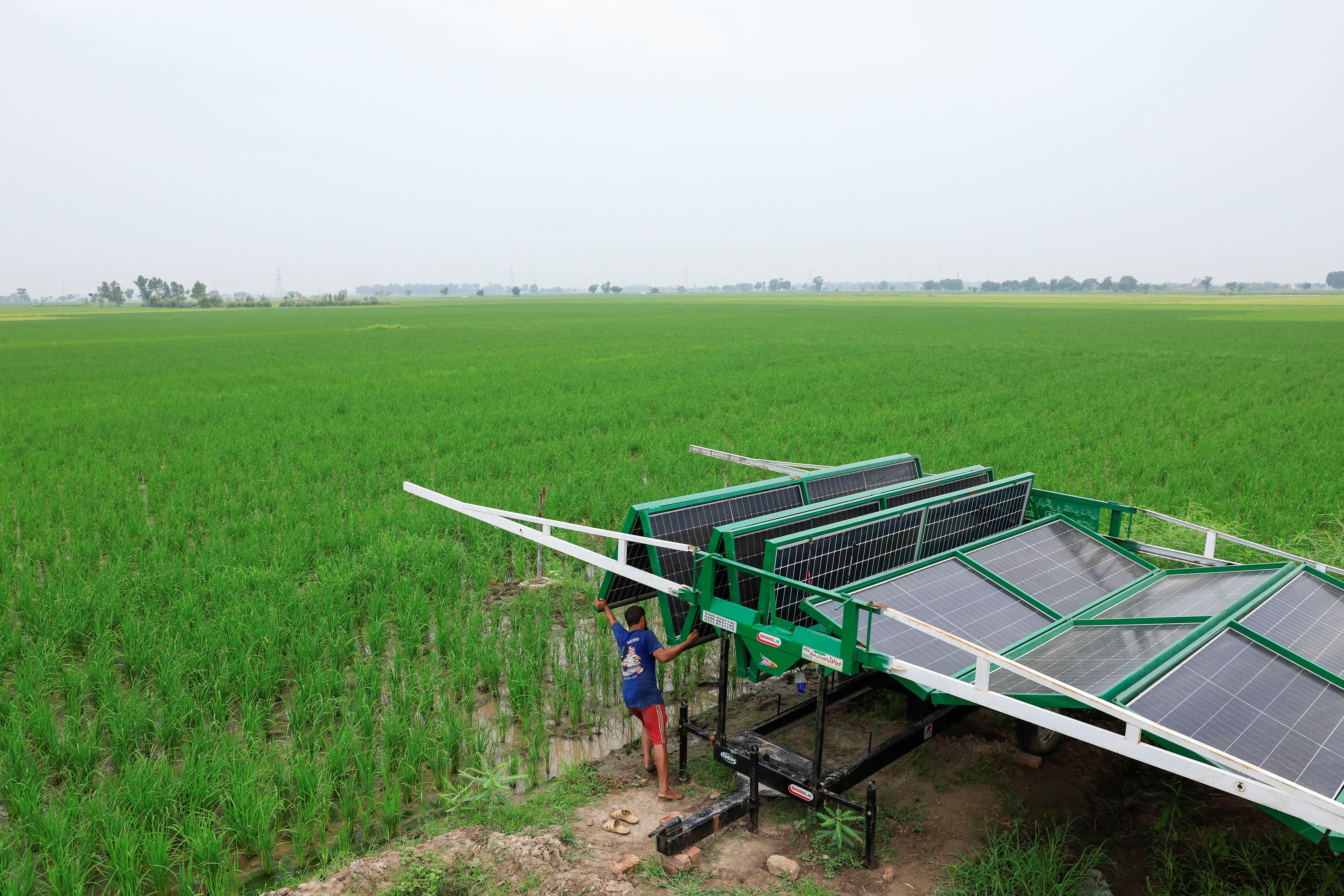 Worker installs a folding solar panel unit, to run a tube well, the motorised pump that taps groundwater, in a rice field in Muridke