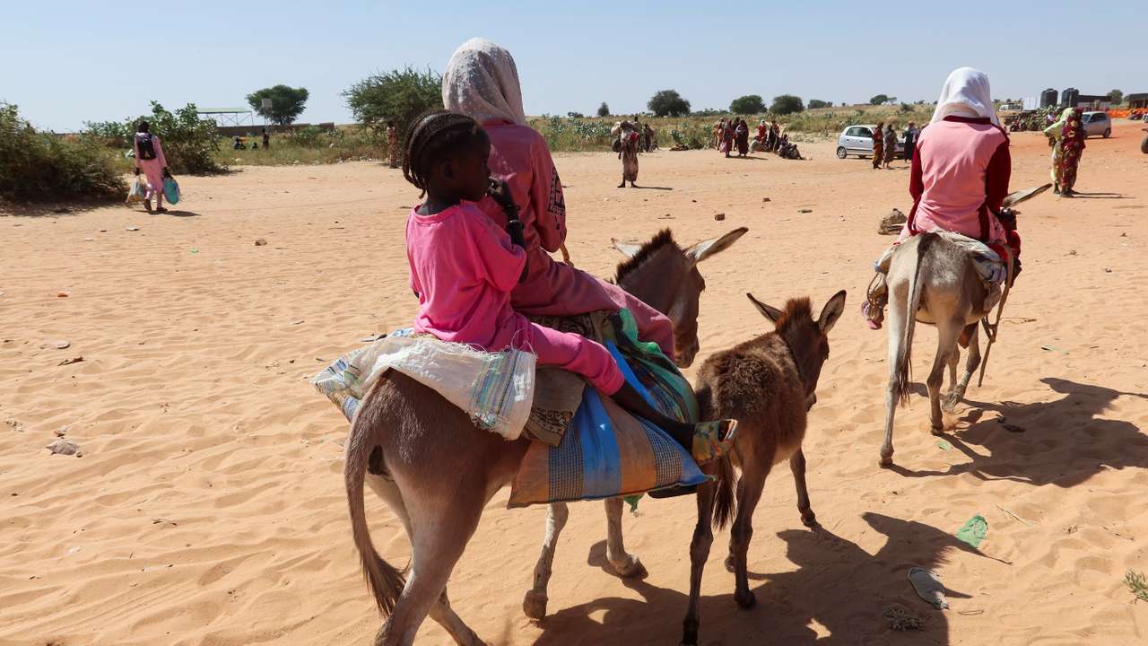 Children cross the border on their donkeys from Sudan to Chad, in Chad