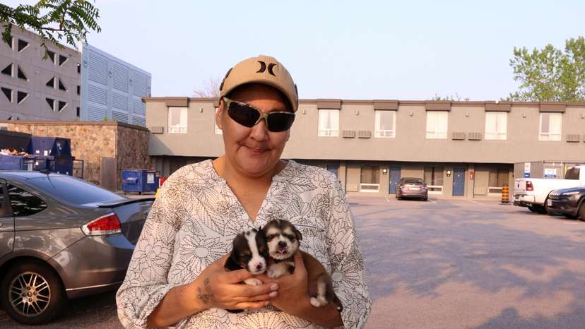 From flames to Falls: hundreds of Canada’s Indigenous find refuge in Niagara tourist haven