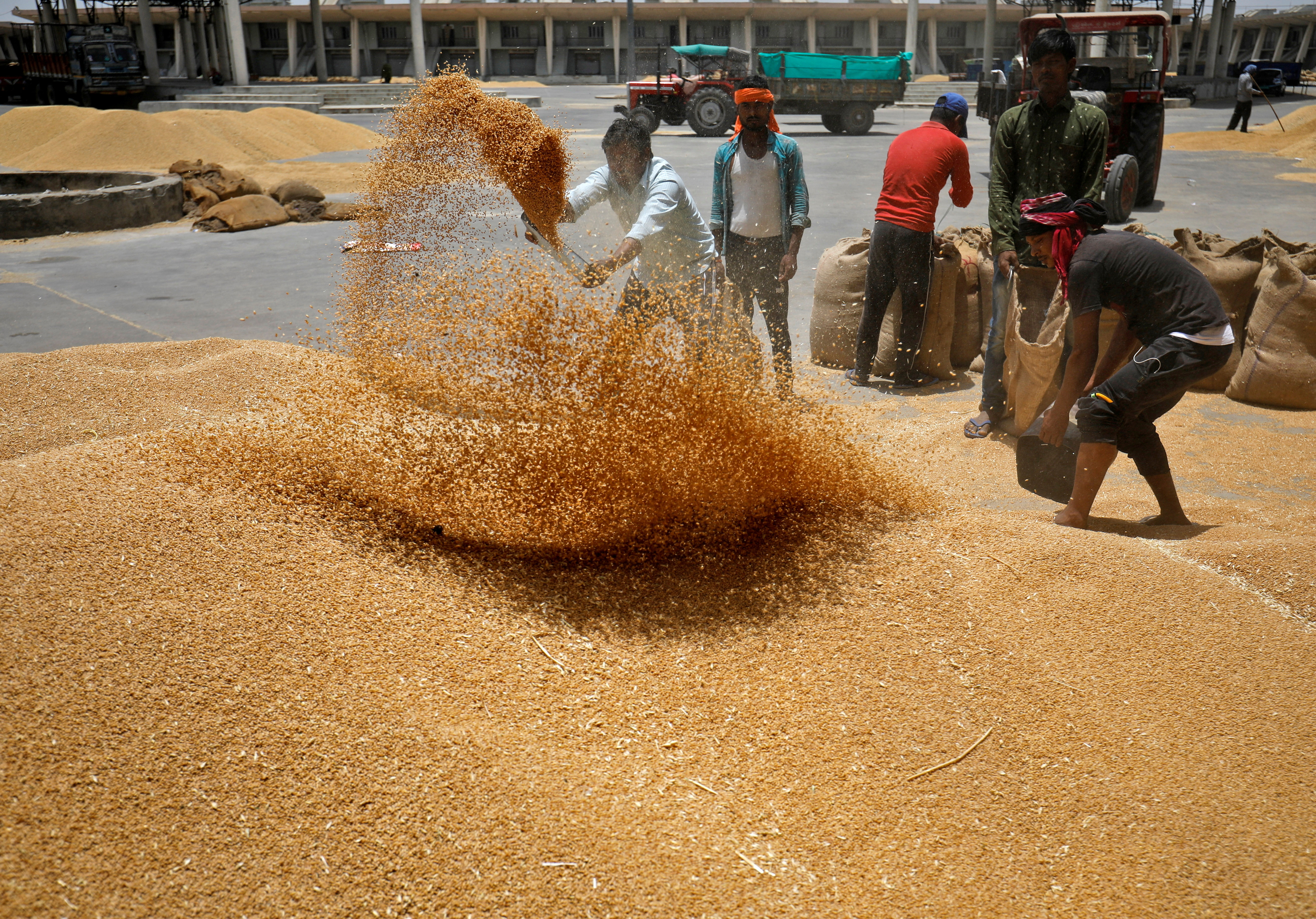 FILE PHOTO: Workers sift wheat before filling in sacks at a market yard on the outskirts of Ahmedabad