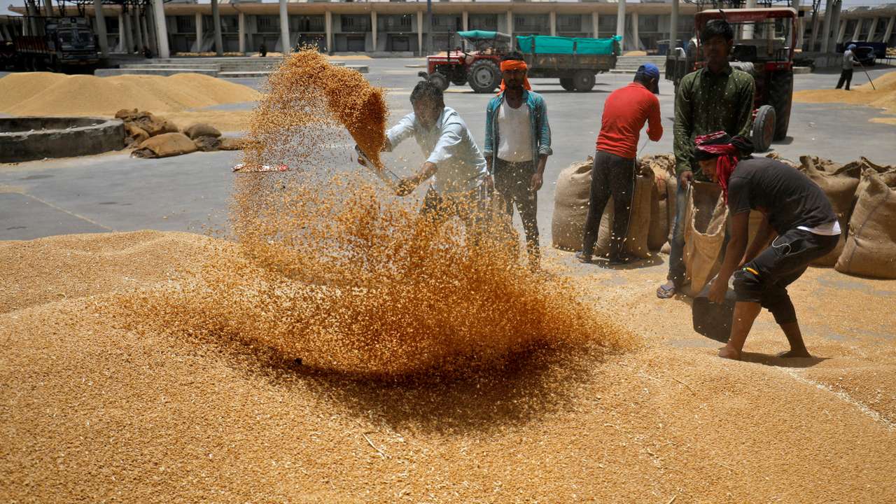 FILE PHOTO: Workers sift wheat before filling in sacks at a market yard on the outskirts of Ahmedabad