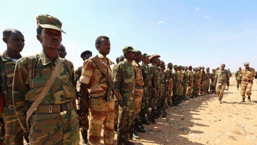 FILE PHOTO: Ethiopian and Somali government soldiers line-up before embarking on a joint patrol in areas south east of Dusamareeb