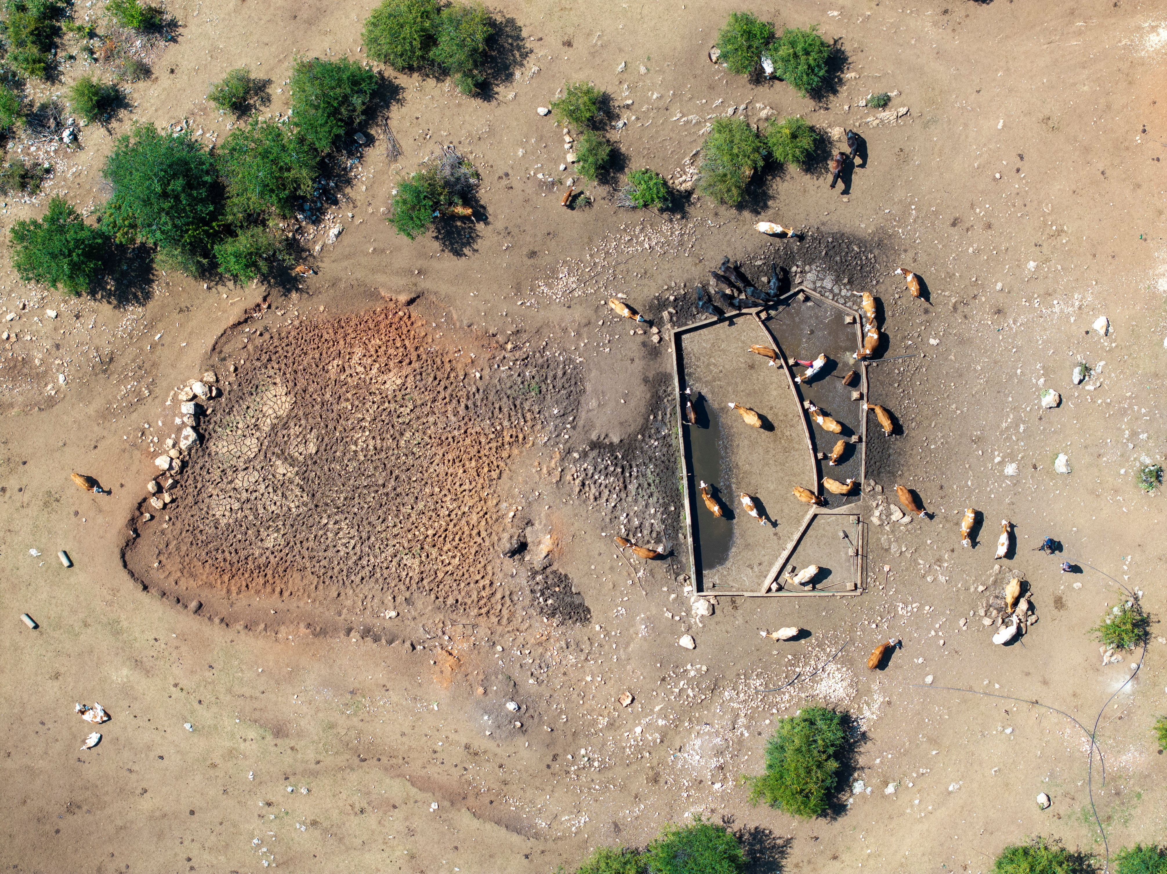 Drought dries up springs in Serbia, leaving livestock reliant on emergency water supplies