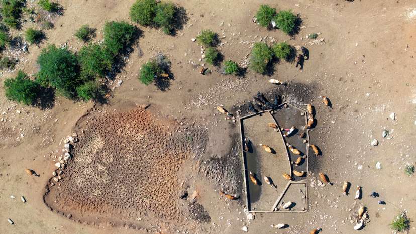 Drought dries up springs in Serbia, leaving livestock reliant on emergency water supplies