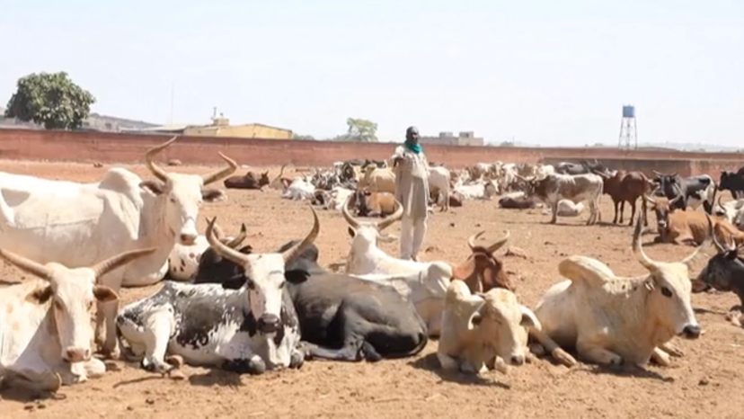 Screenshot 2024-12-11 at 15.22.36