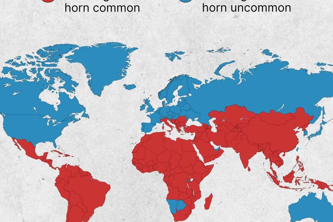 Car horns aren’t just about safety — in many countries, they’ve become part of the culture of th