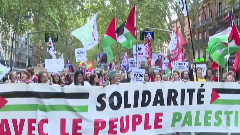 Demonstration in Toulouse