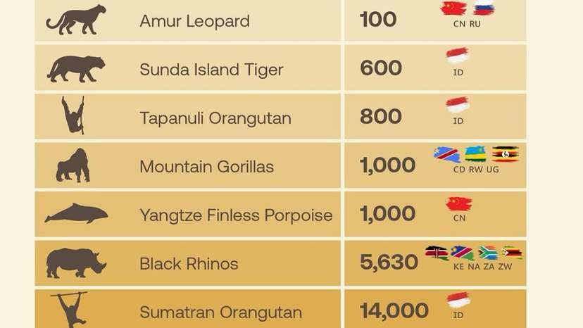 Indonesia, home to one of the most biologically rich ecosystems on Earth, harbours some of the p