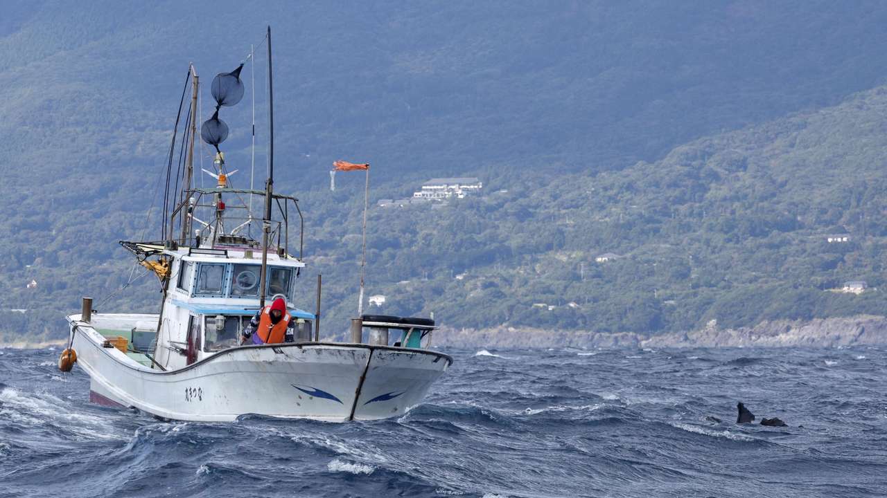 An object believed to belong to the U.S. military aircraft V-22 Osprey that crashed into the sea floats off Yakushima Island
