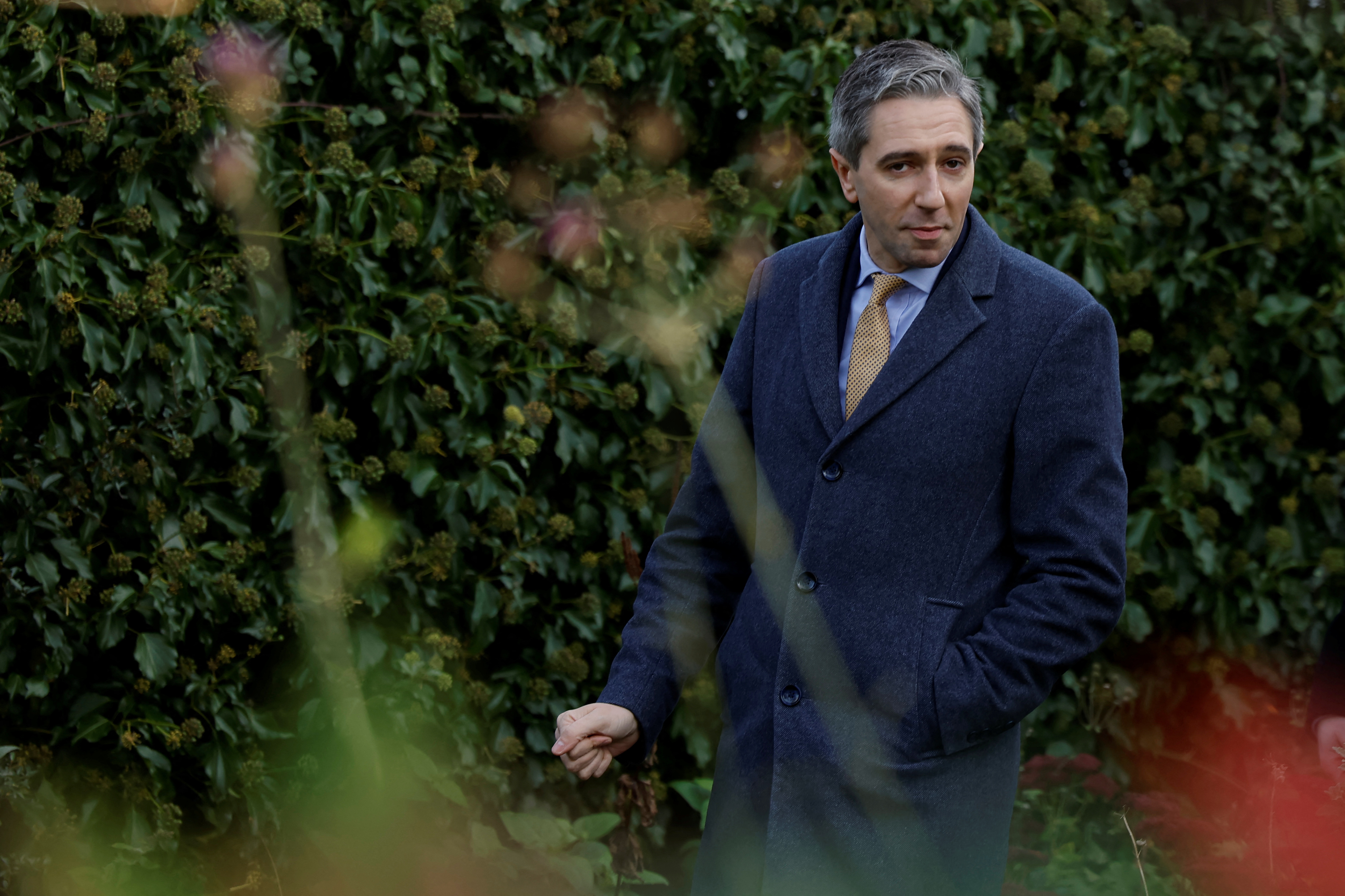Taoiseach Simon Harris canvasses ahead of a general election, in Dublin