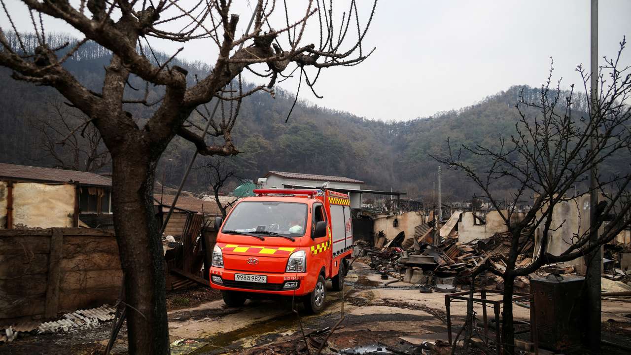 FILE PHOTO: Aftermath of wildfire in Yeongyang