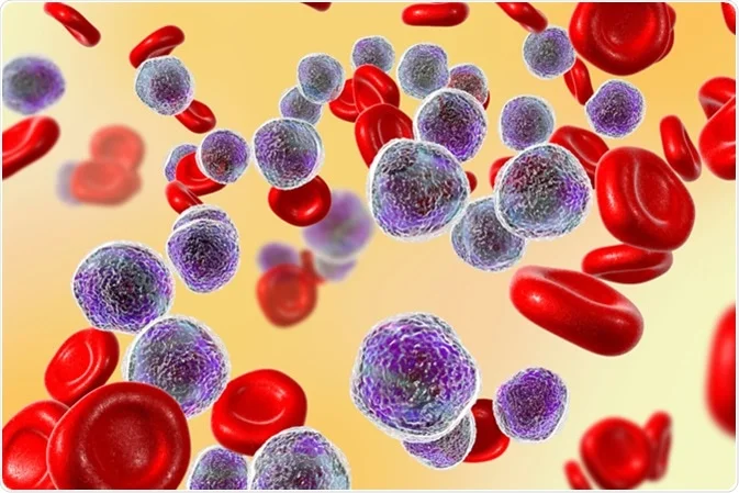 lukaemia cells